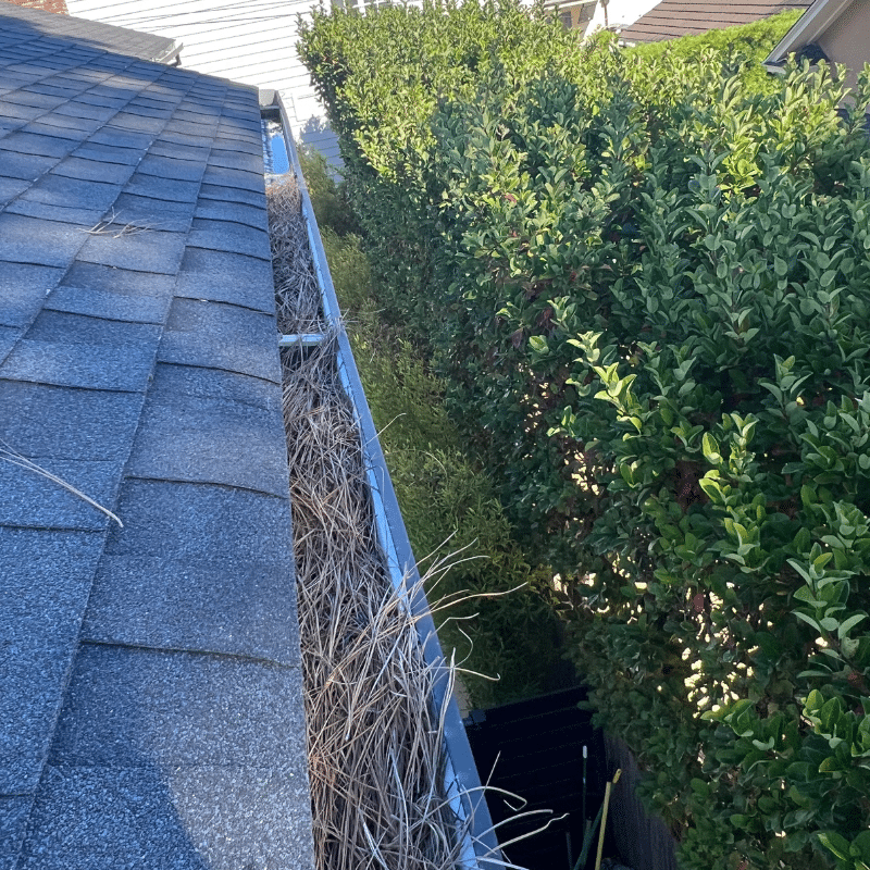 Gutter Cleaning Companies Costa Mesa CA