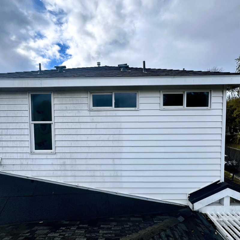 House Washing in Laguna Beach CA