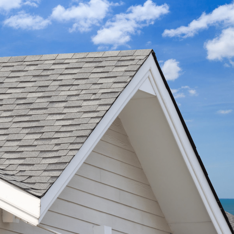 Roof Cleaning in Laguna Beach CA